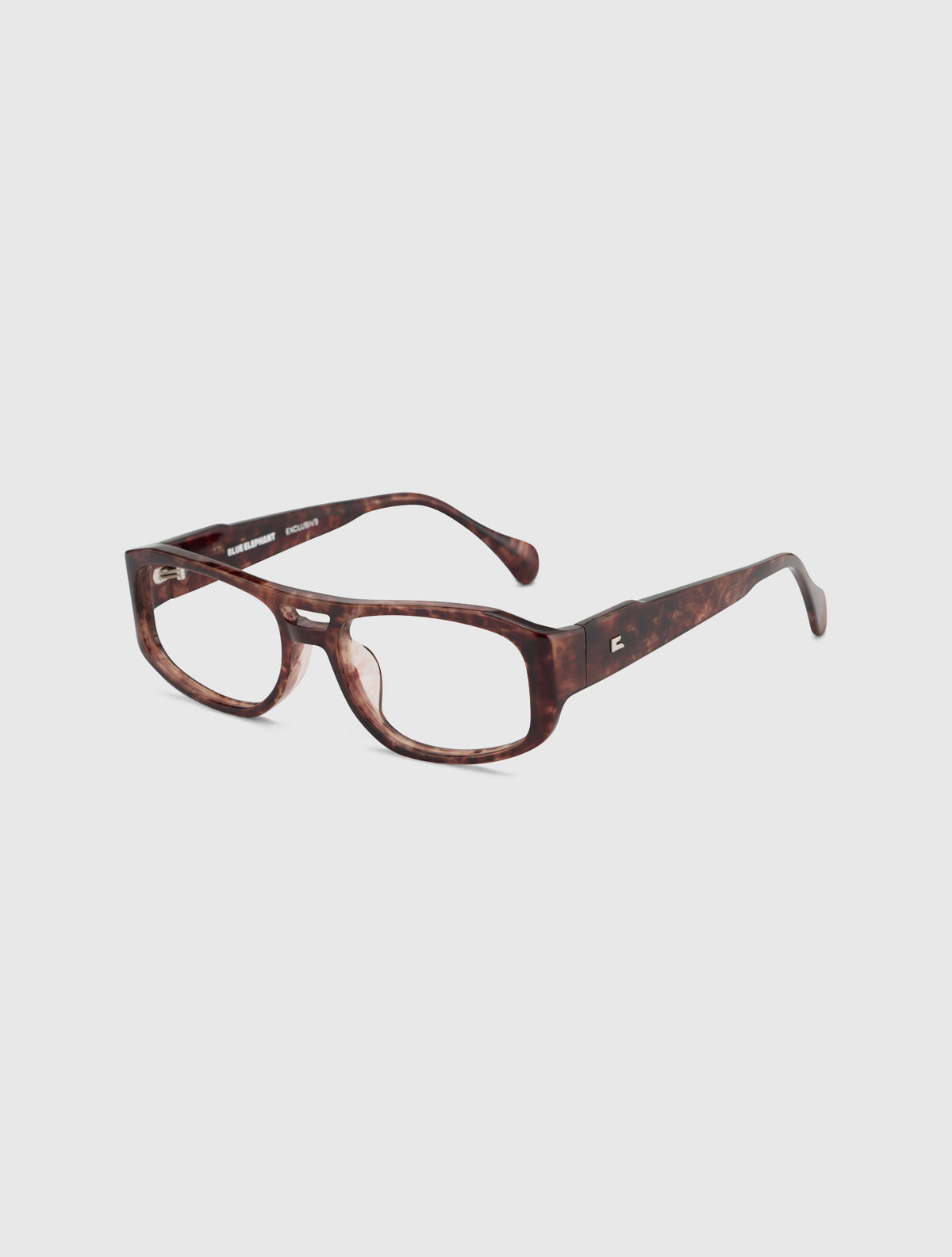 AGNES leopard