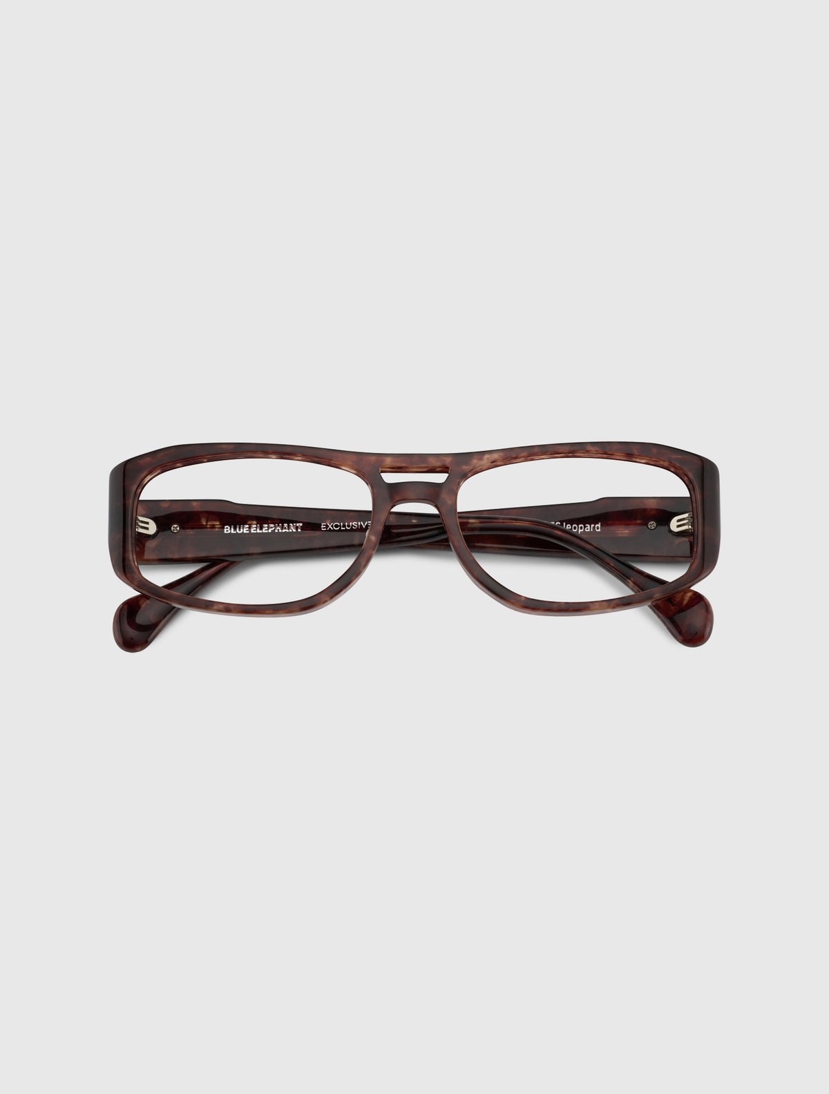 AGNES leopard