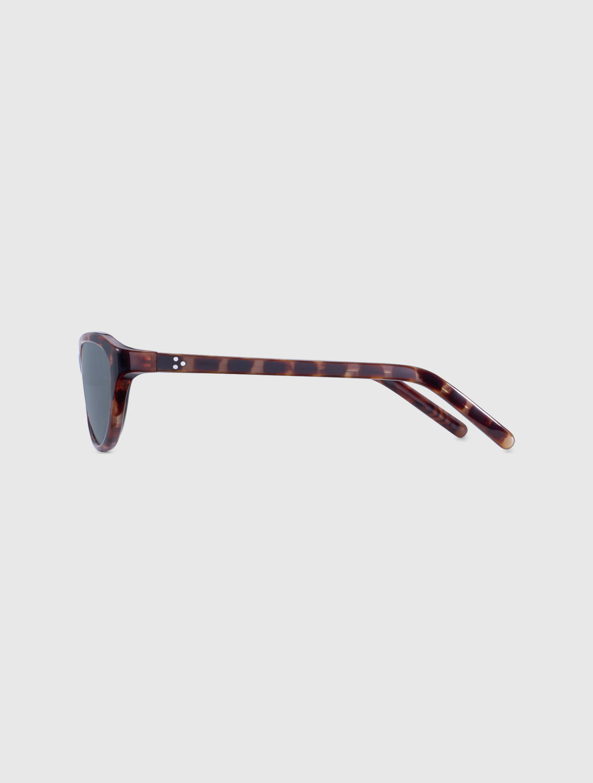 ARIA leopard