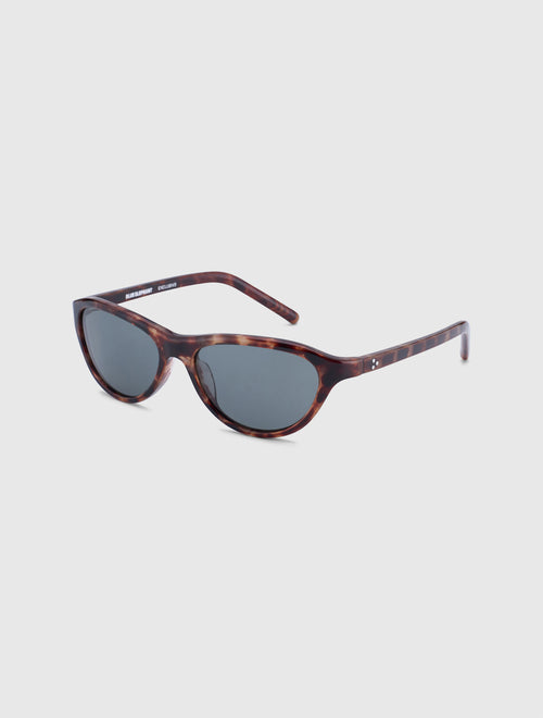 ARIA leopard