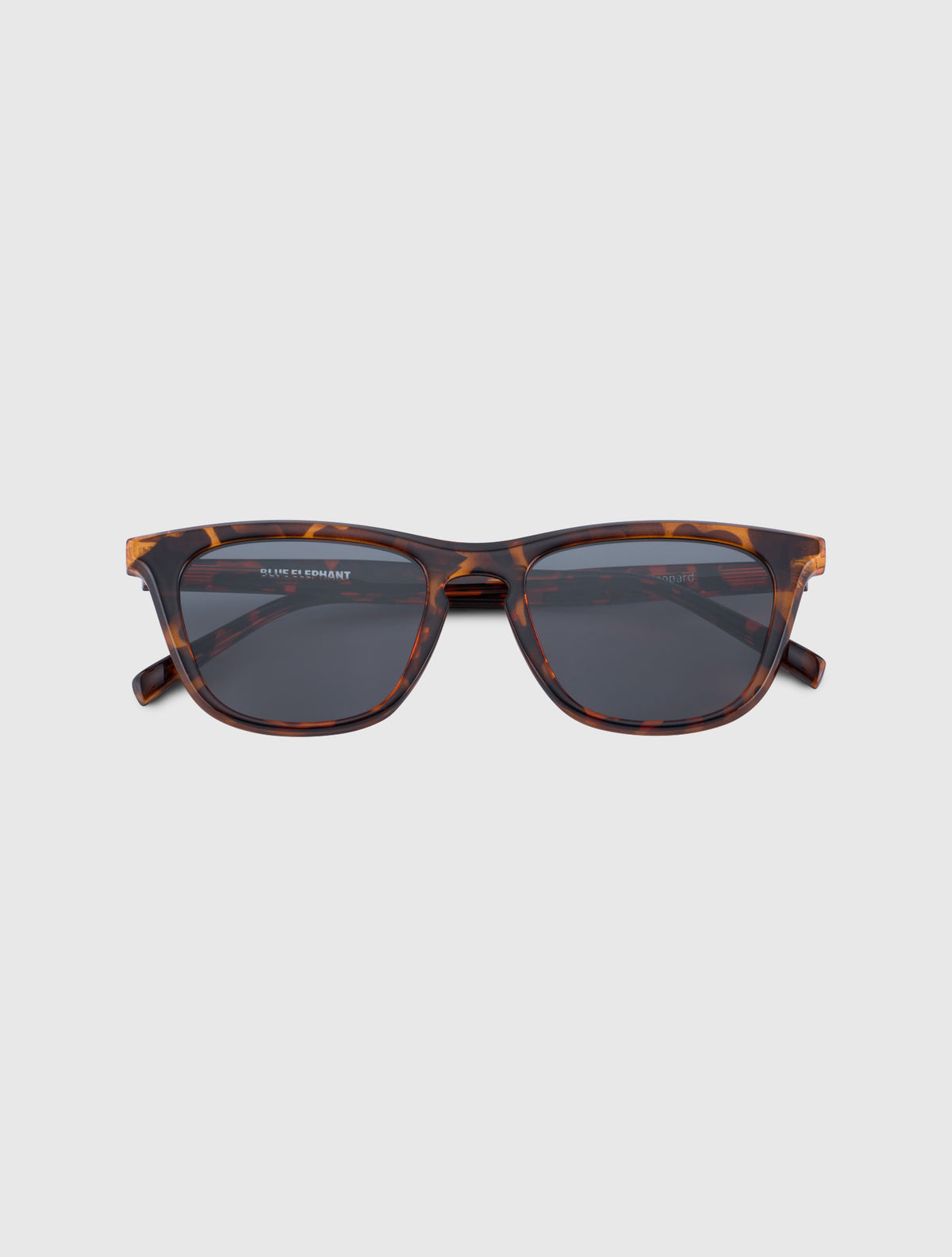 AUSTIN leopard