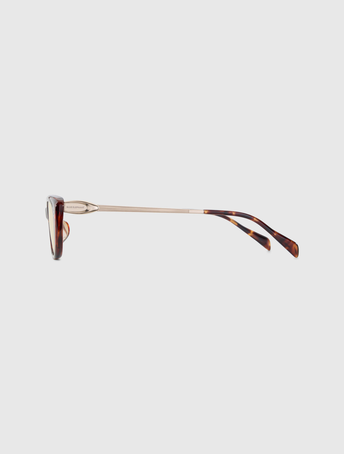 BALOA leopard