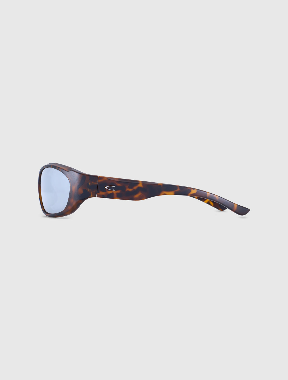 BITE leopard