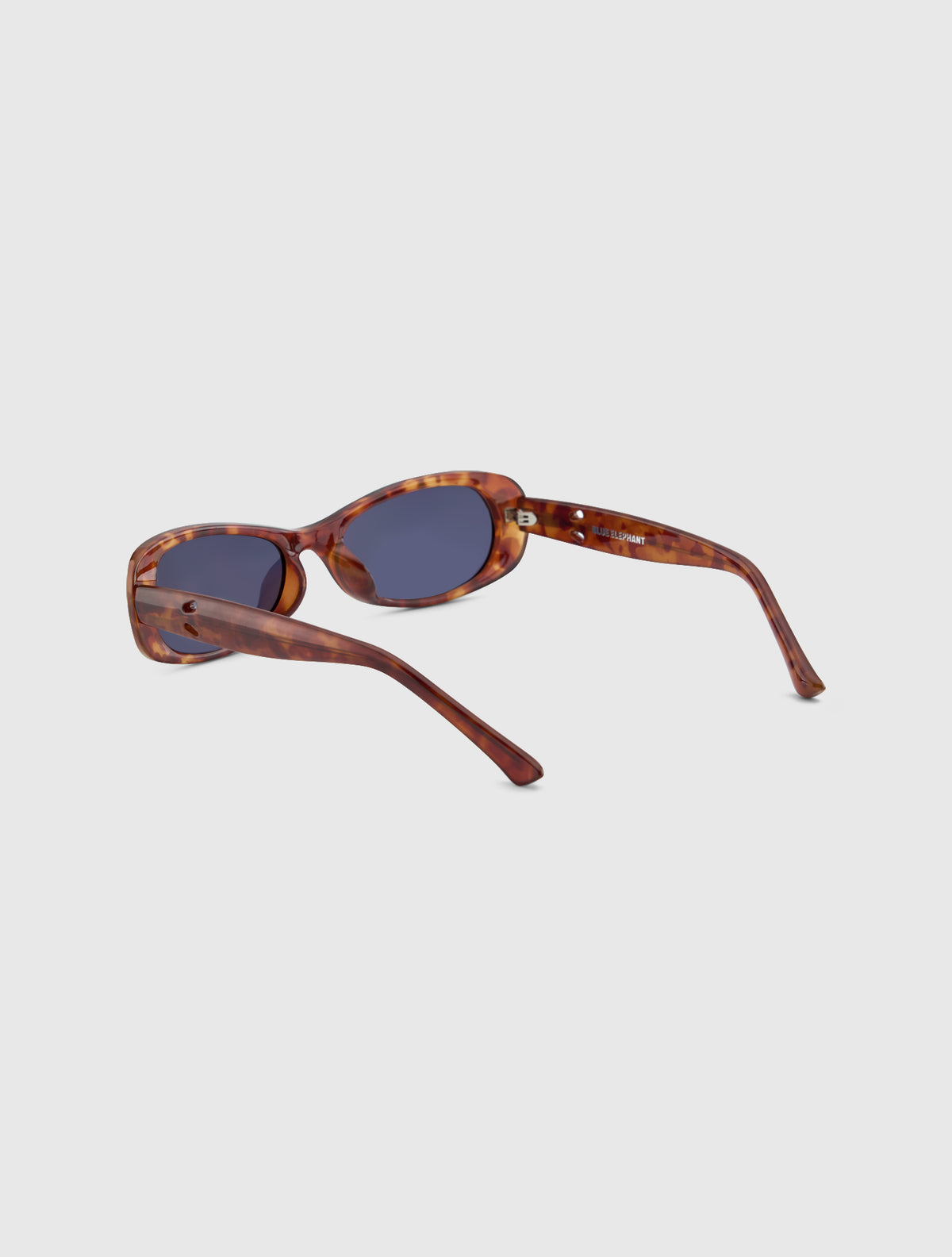 BLOOM leopard