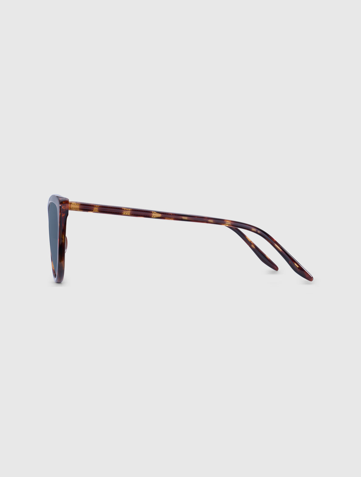 CARIAN-S leopard