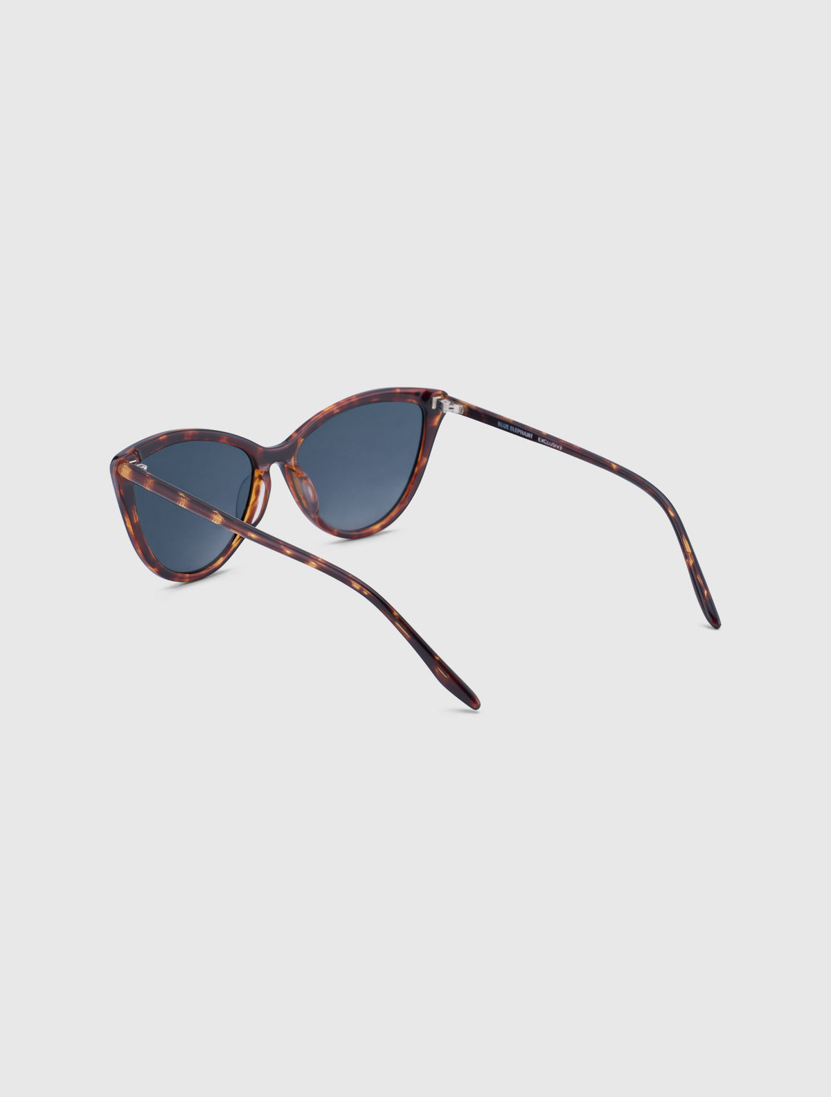 CARIAN-S leopard