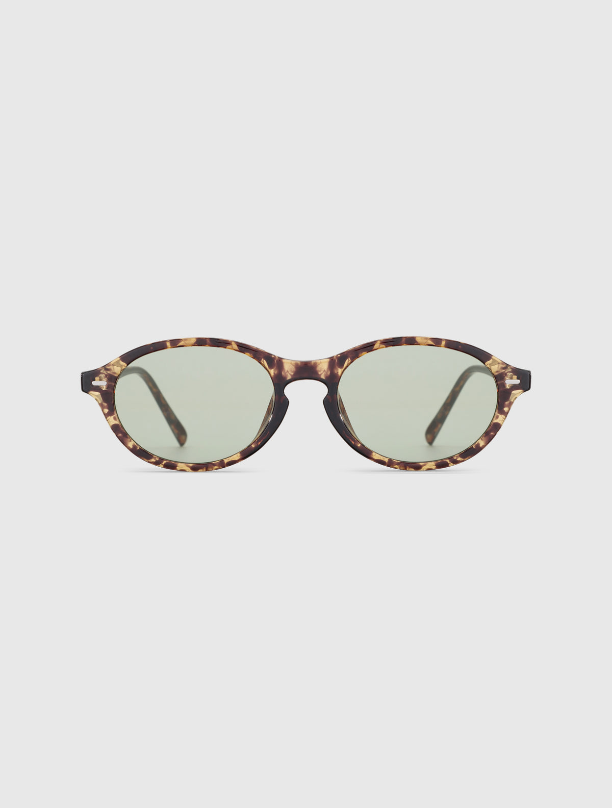 DAISIE-S leopard