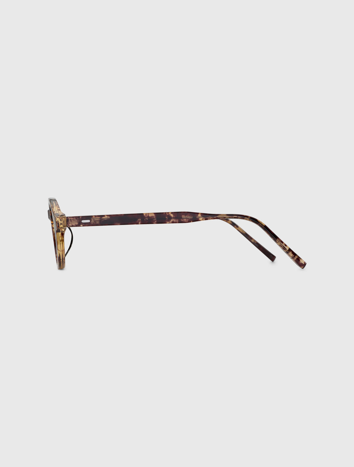 DAISIE leopard