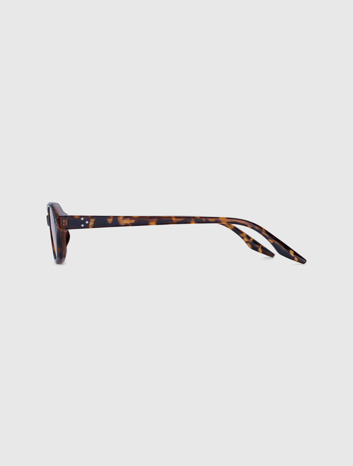 DAMON-S leopard