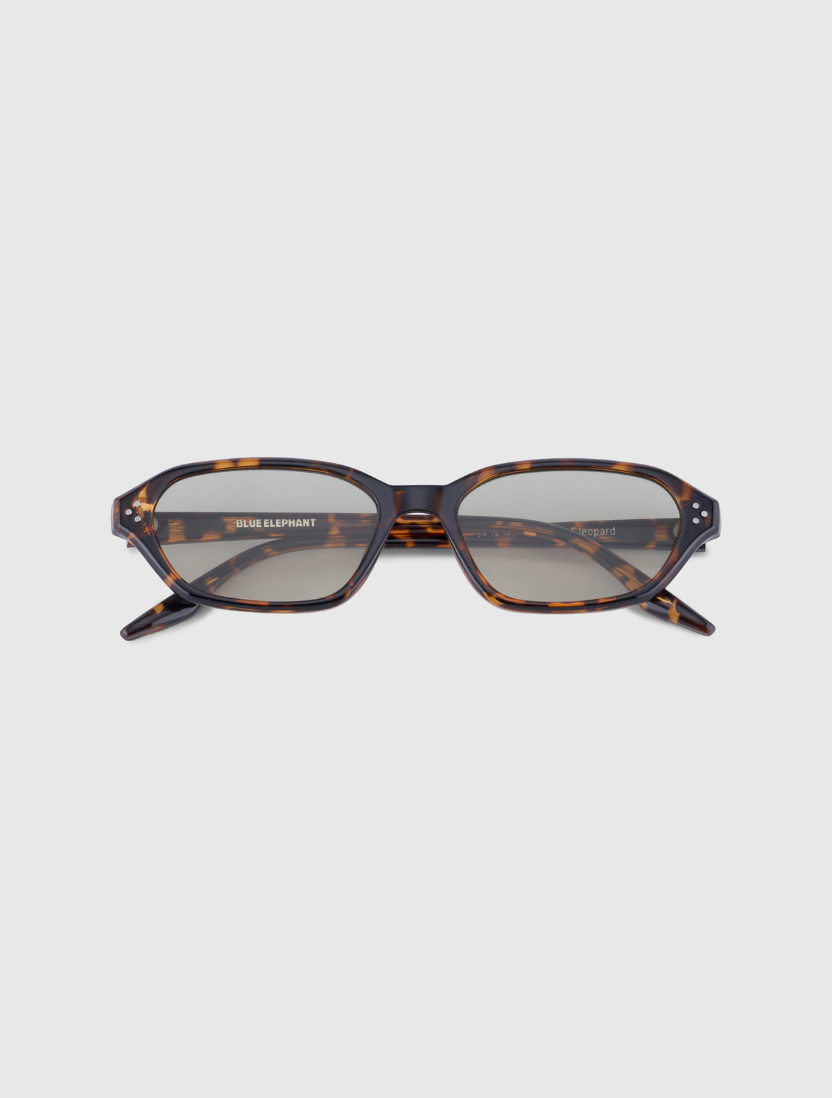 DAMON-S leopard