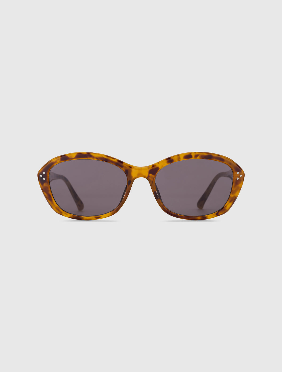 DAVE-S leopard