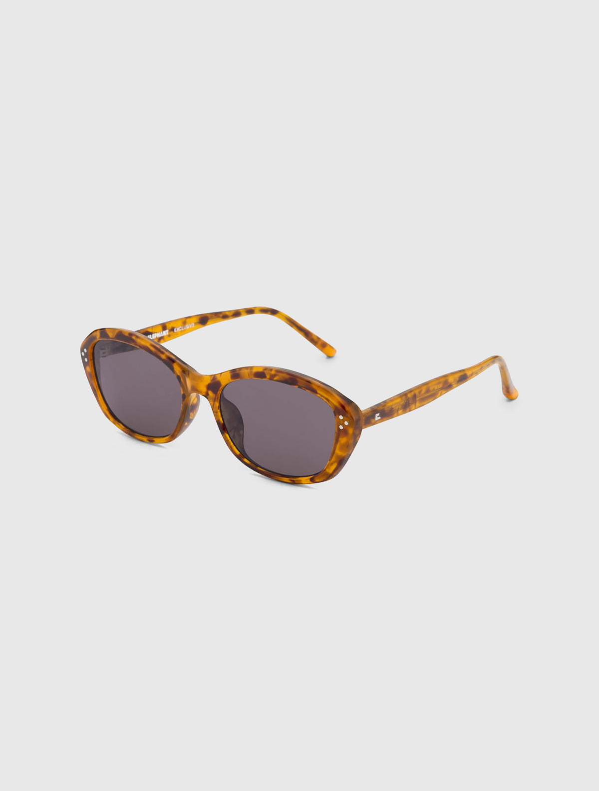 DAVE-S leopard