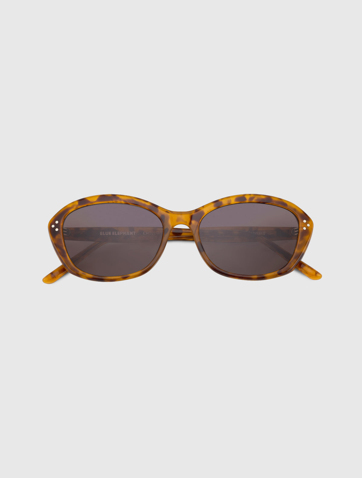DAVE-S leopard