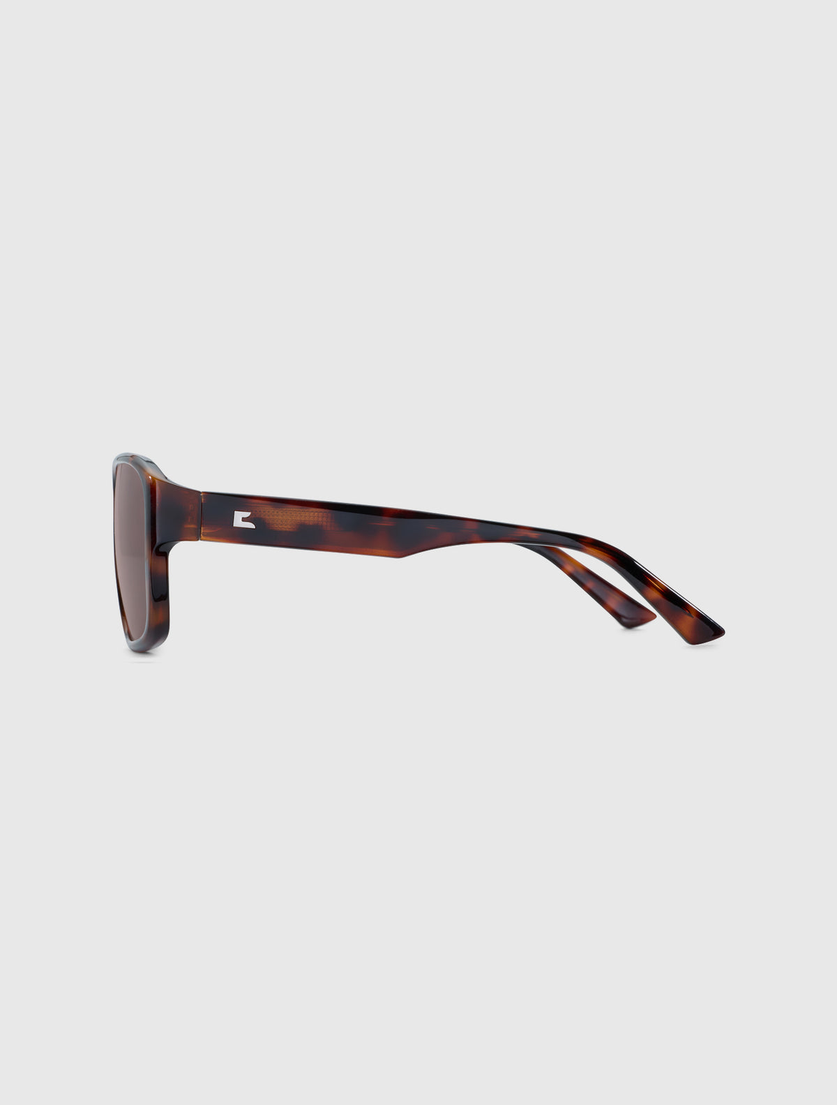 DAZE leopard
