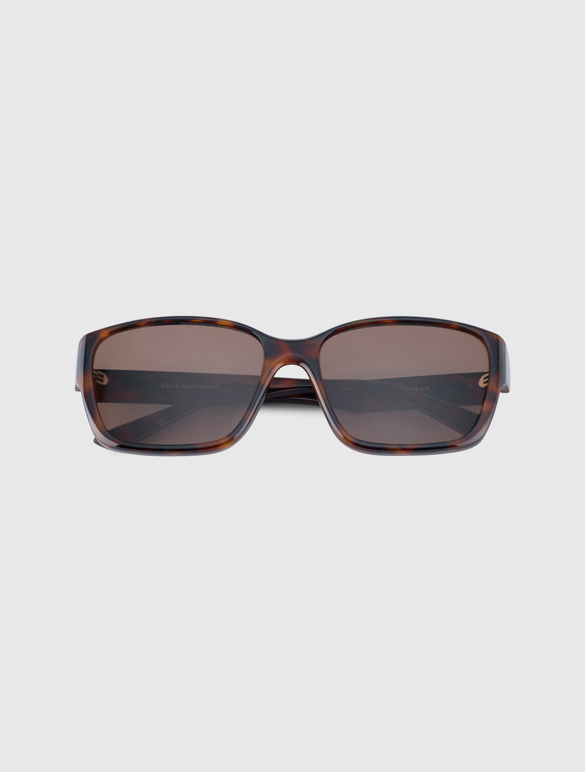 DAZE leopard