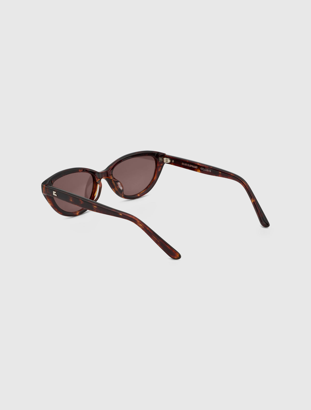 DELMA leopard