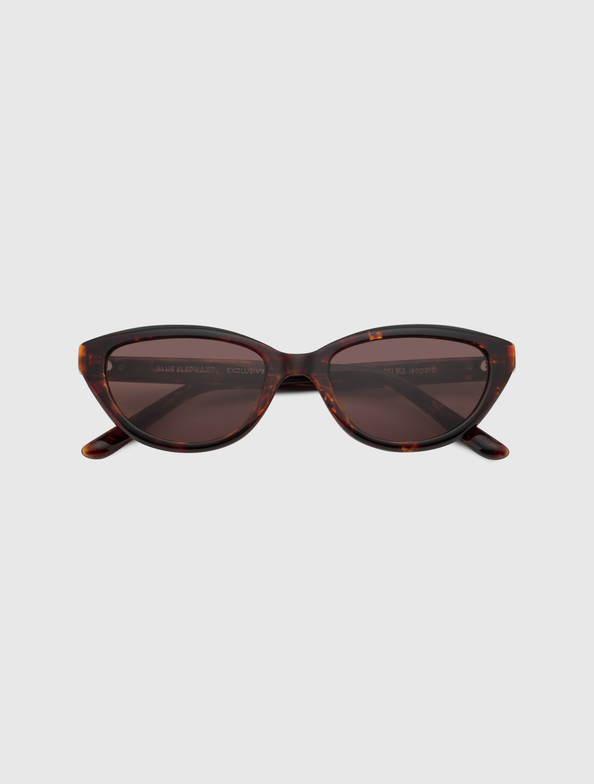 DELMA leopard