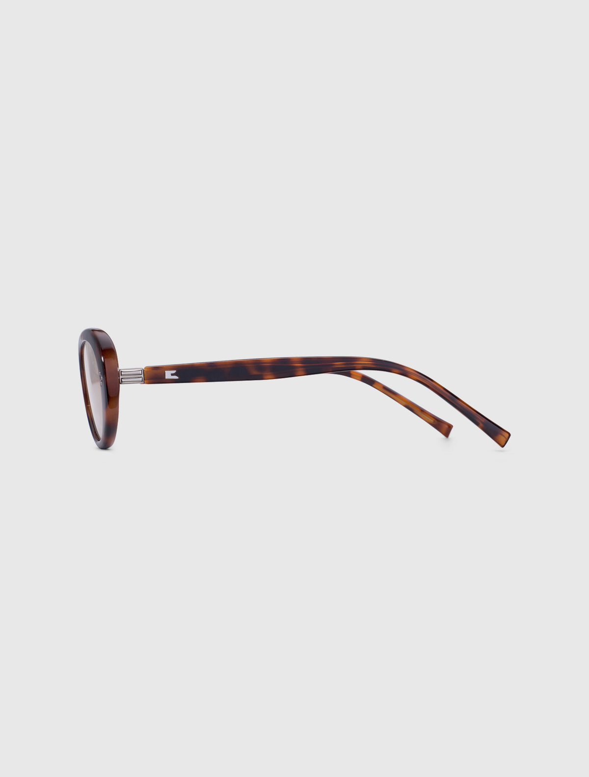 FINO-S leopard