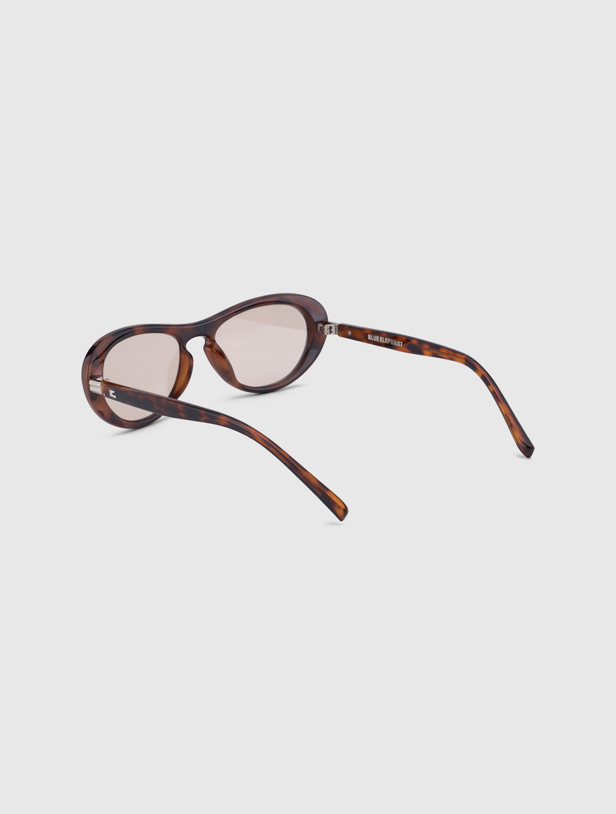 FINO-S leopard