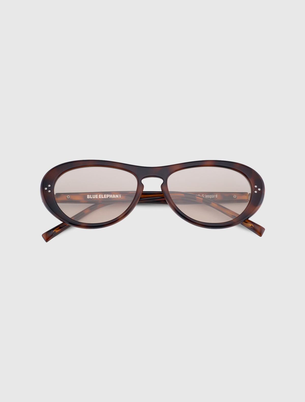 FINO-S leopard