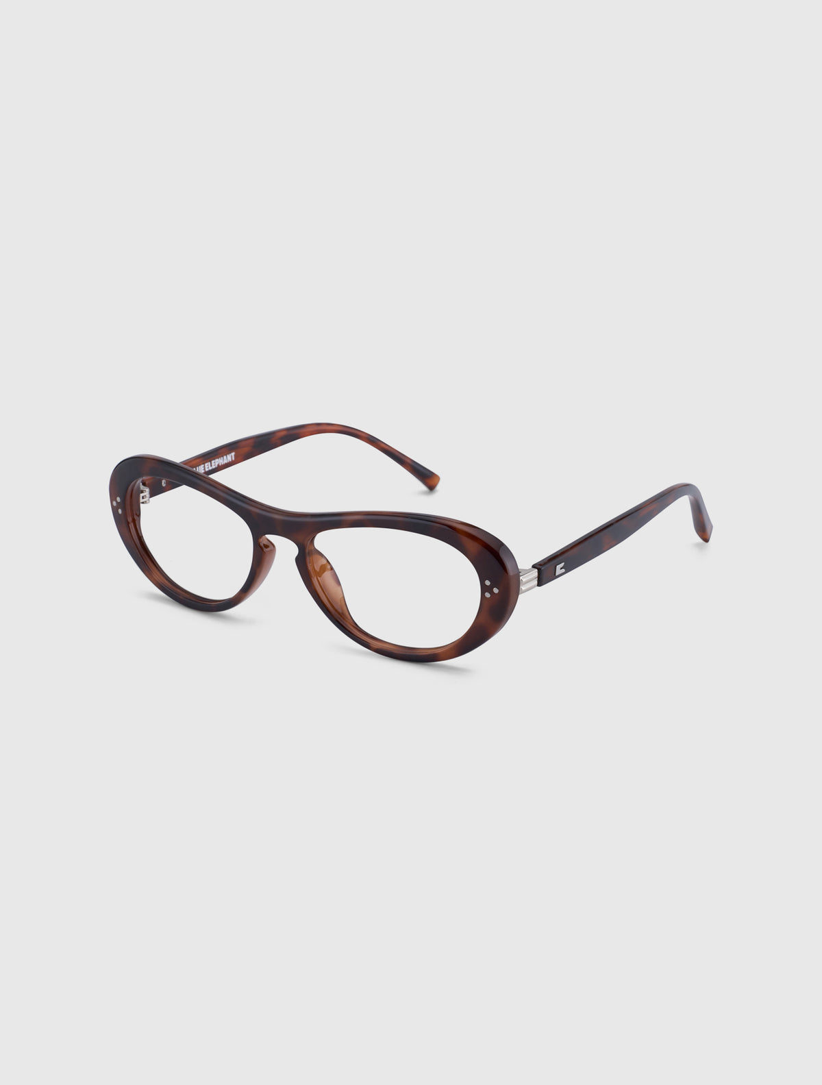 FINO leopard