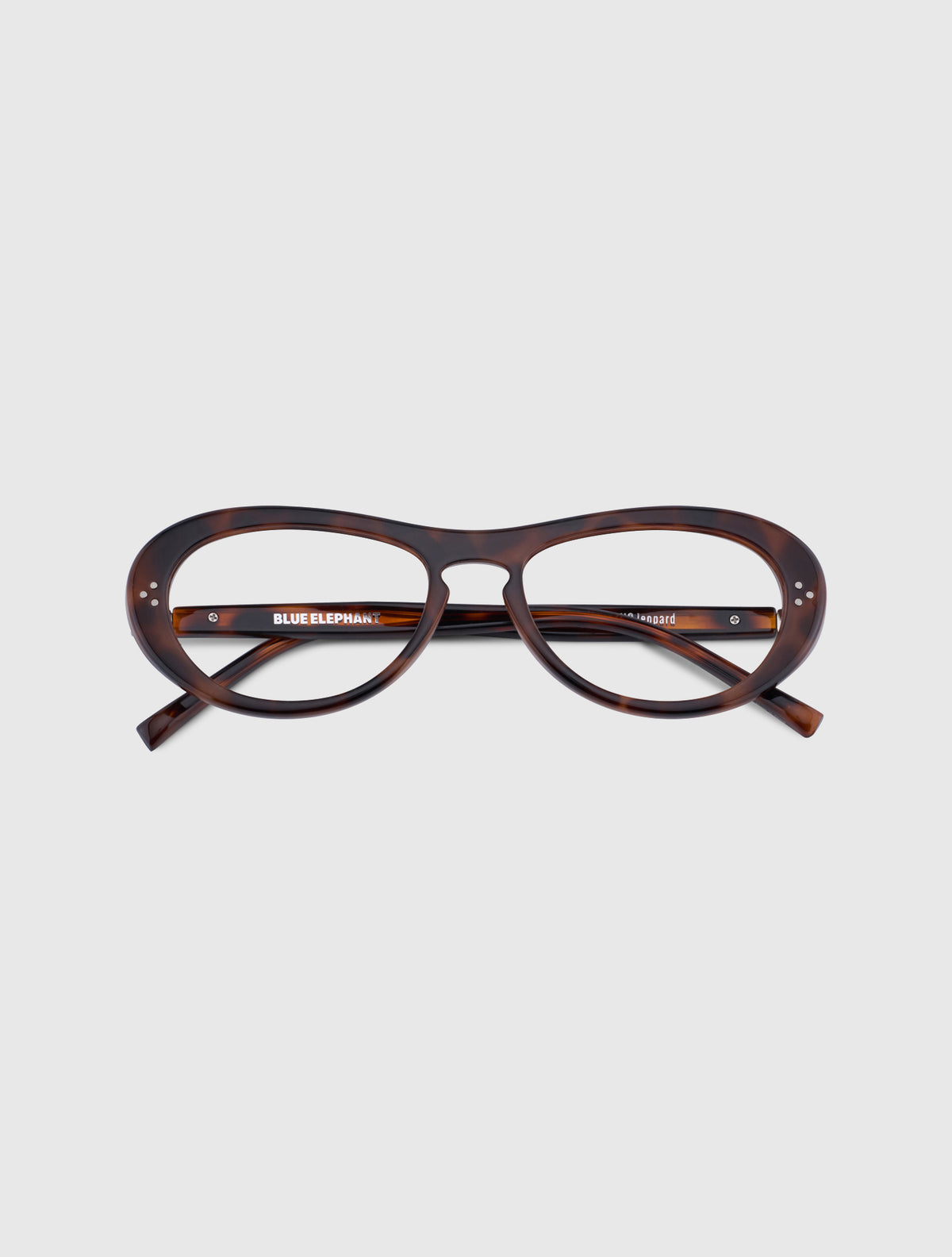 FINO leopard