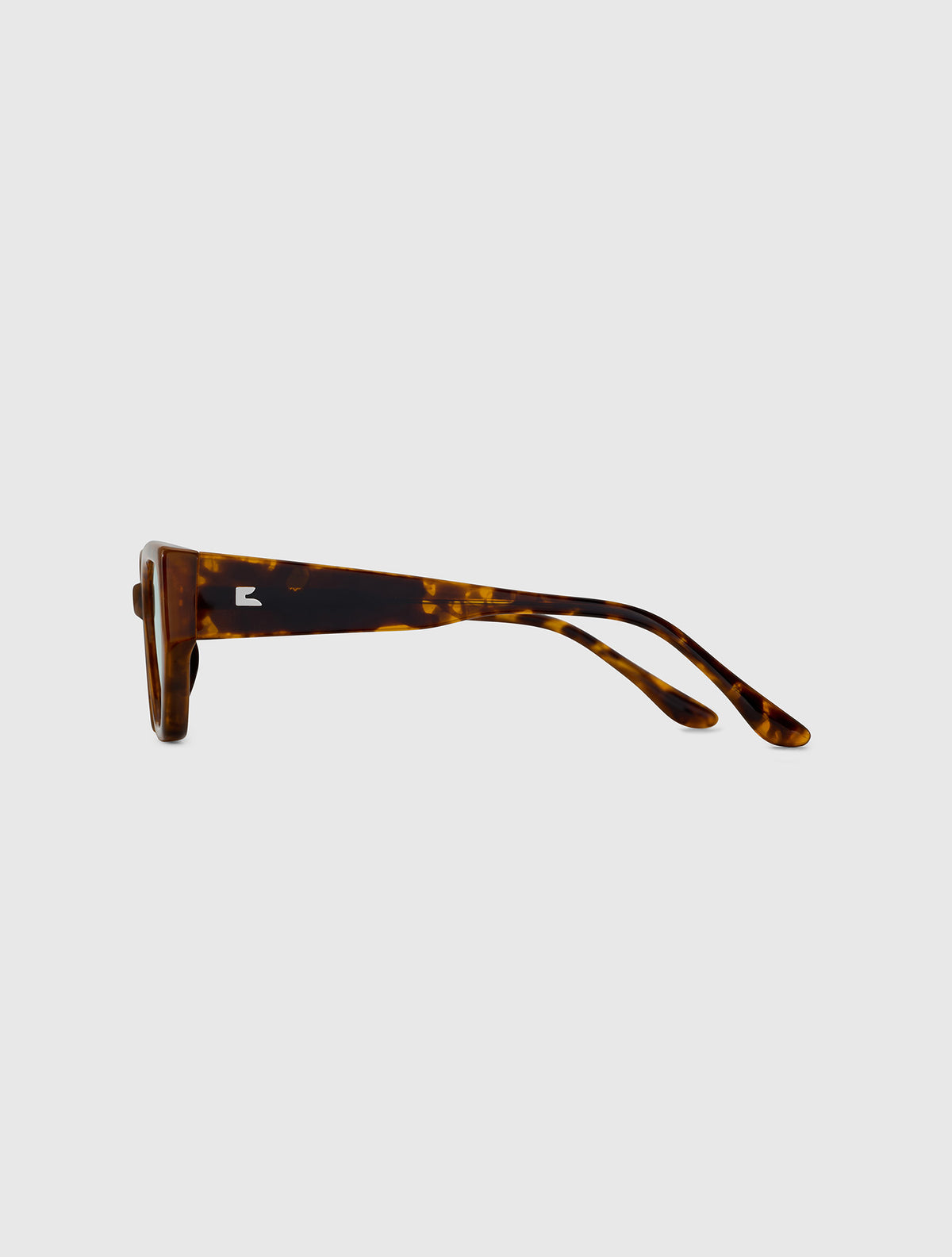 FLASH leopard