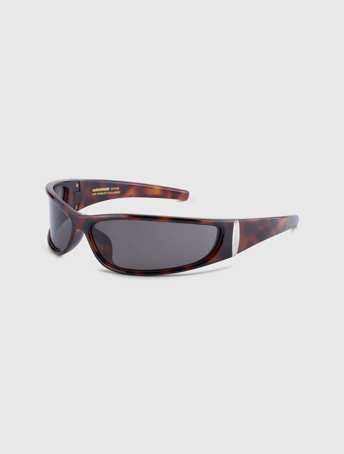 FONI leopard