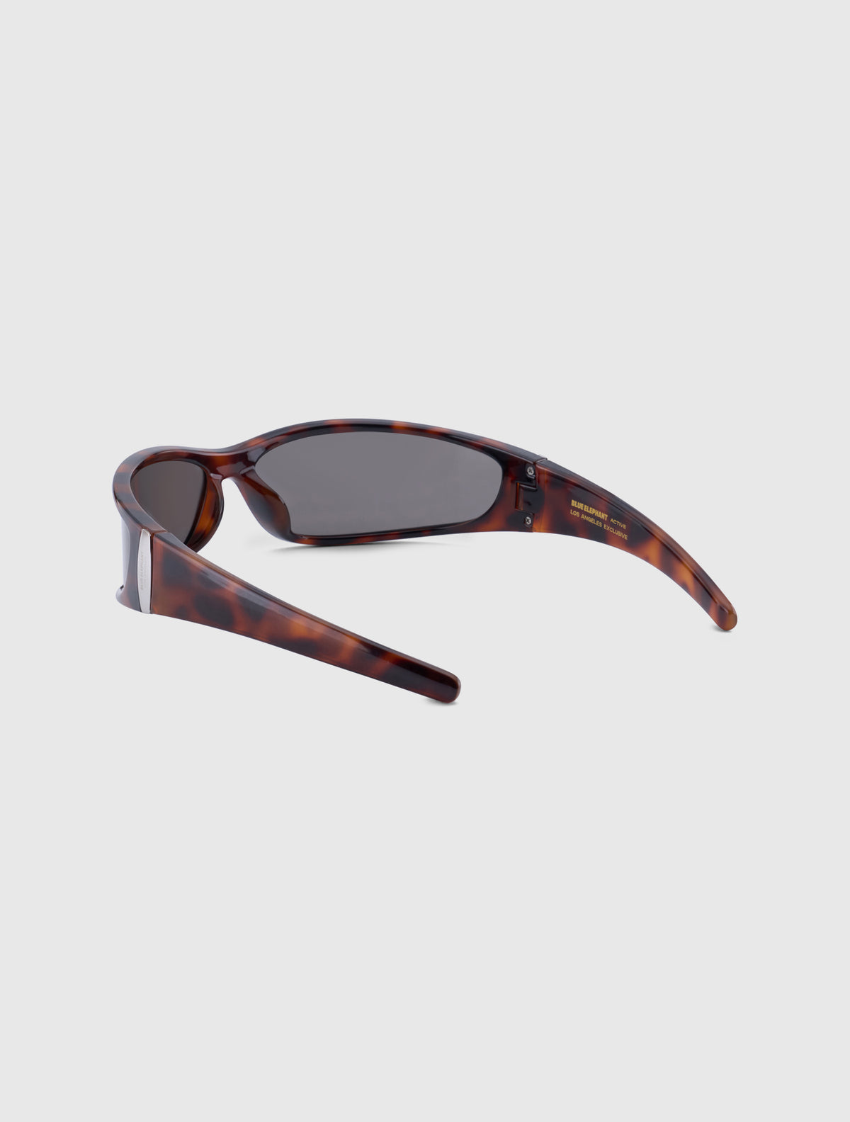 FONI leopard