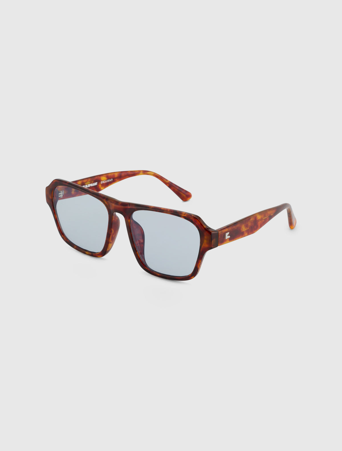 FRAID leopard