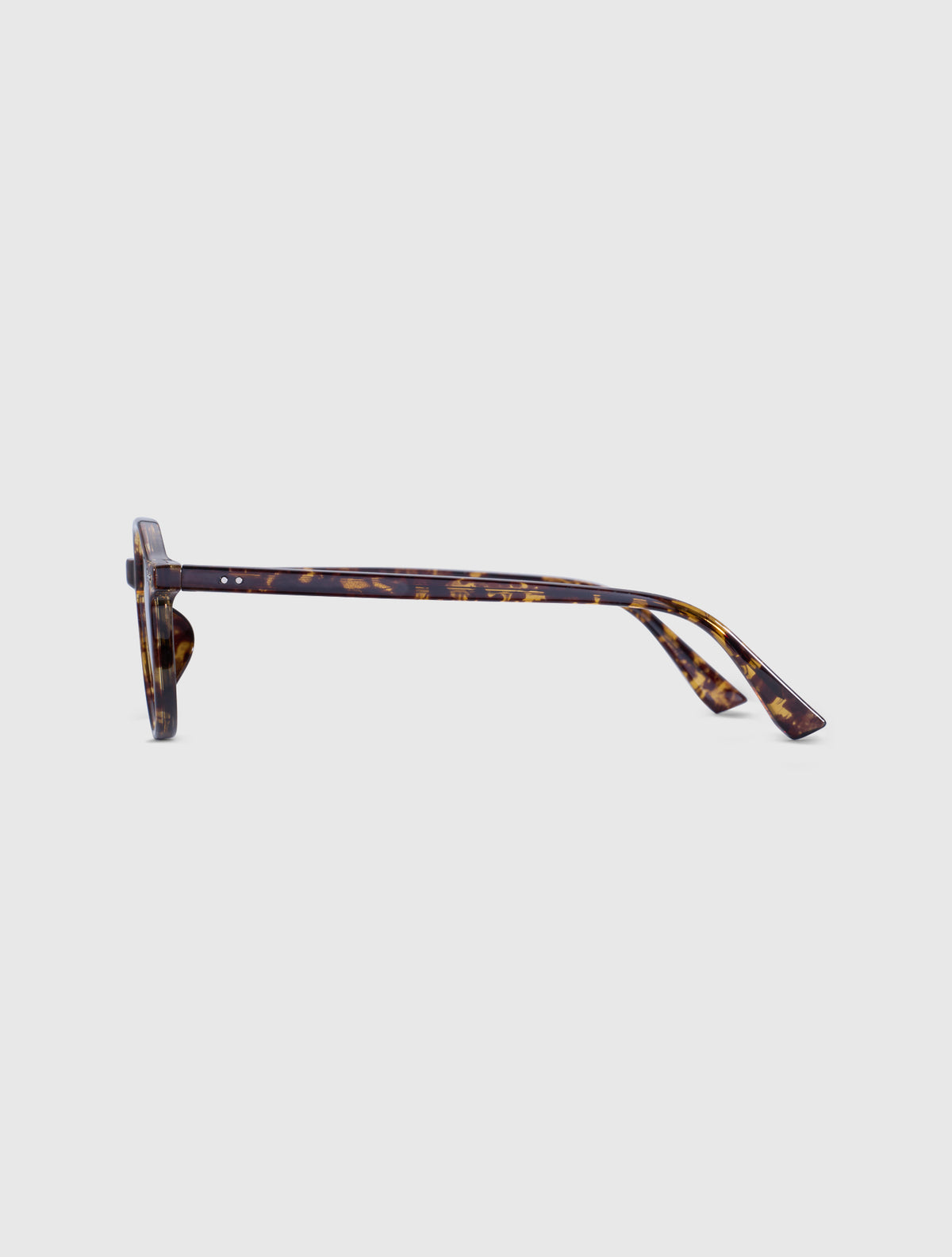 HASSAN-S leopard