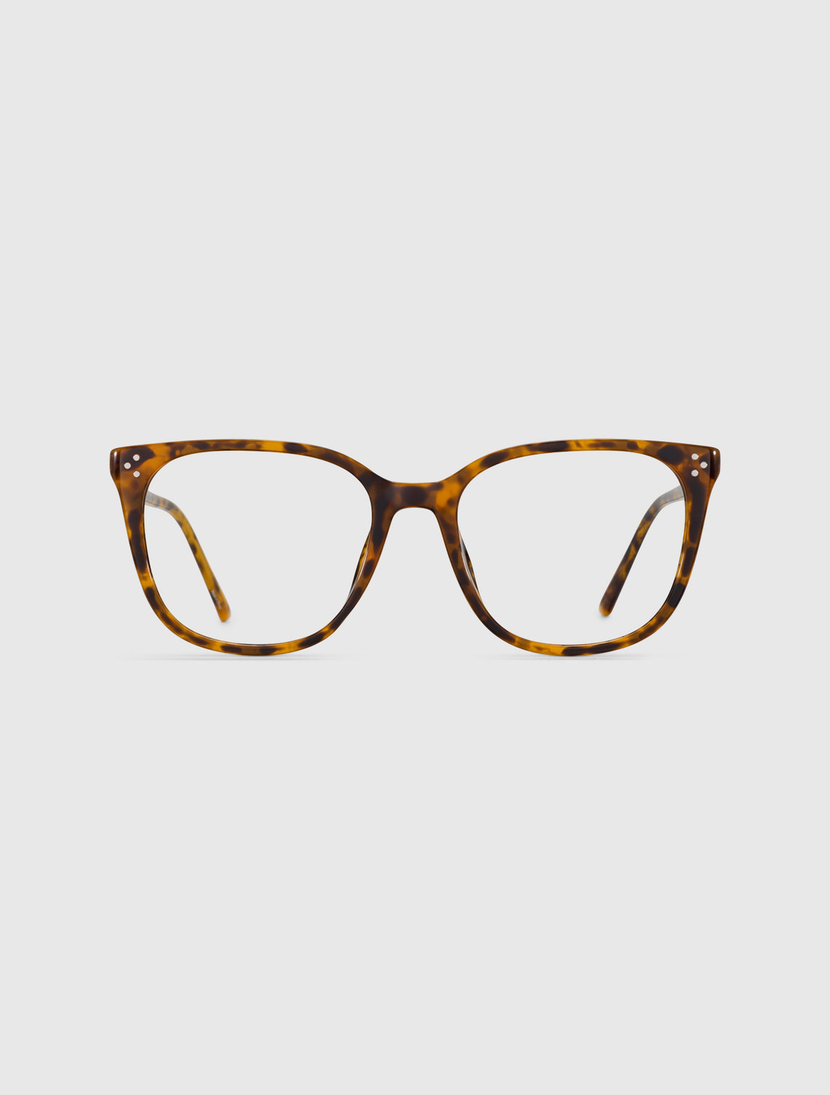 KALO leopard
