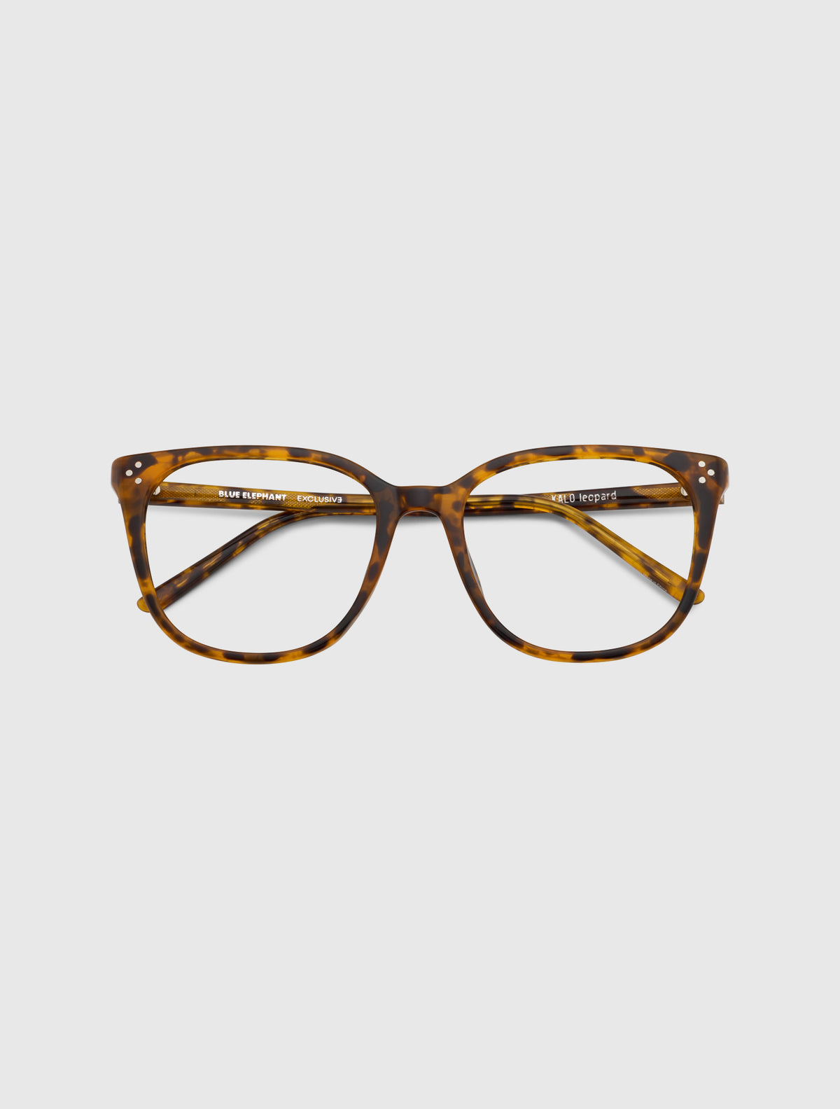 KALO leopard