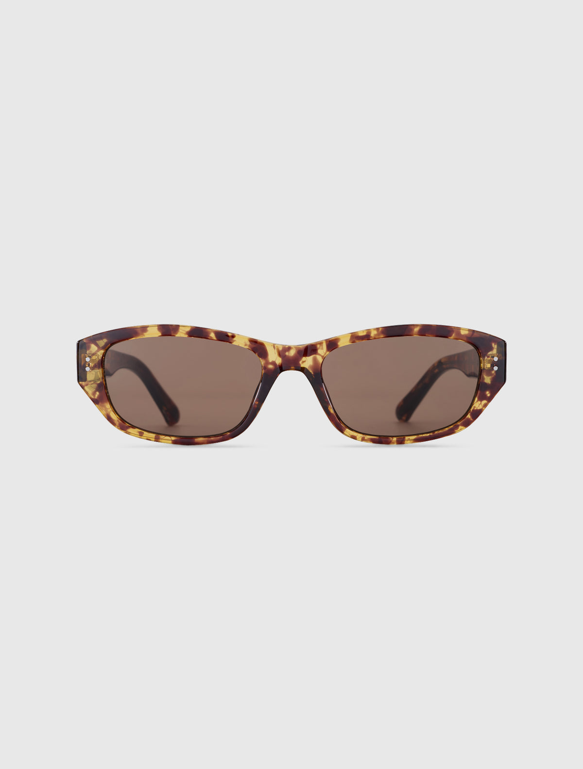 KIN-S leopard