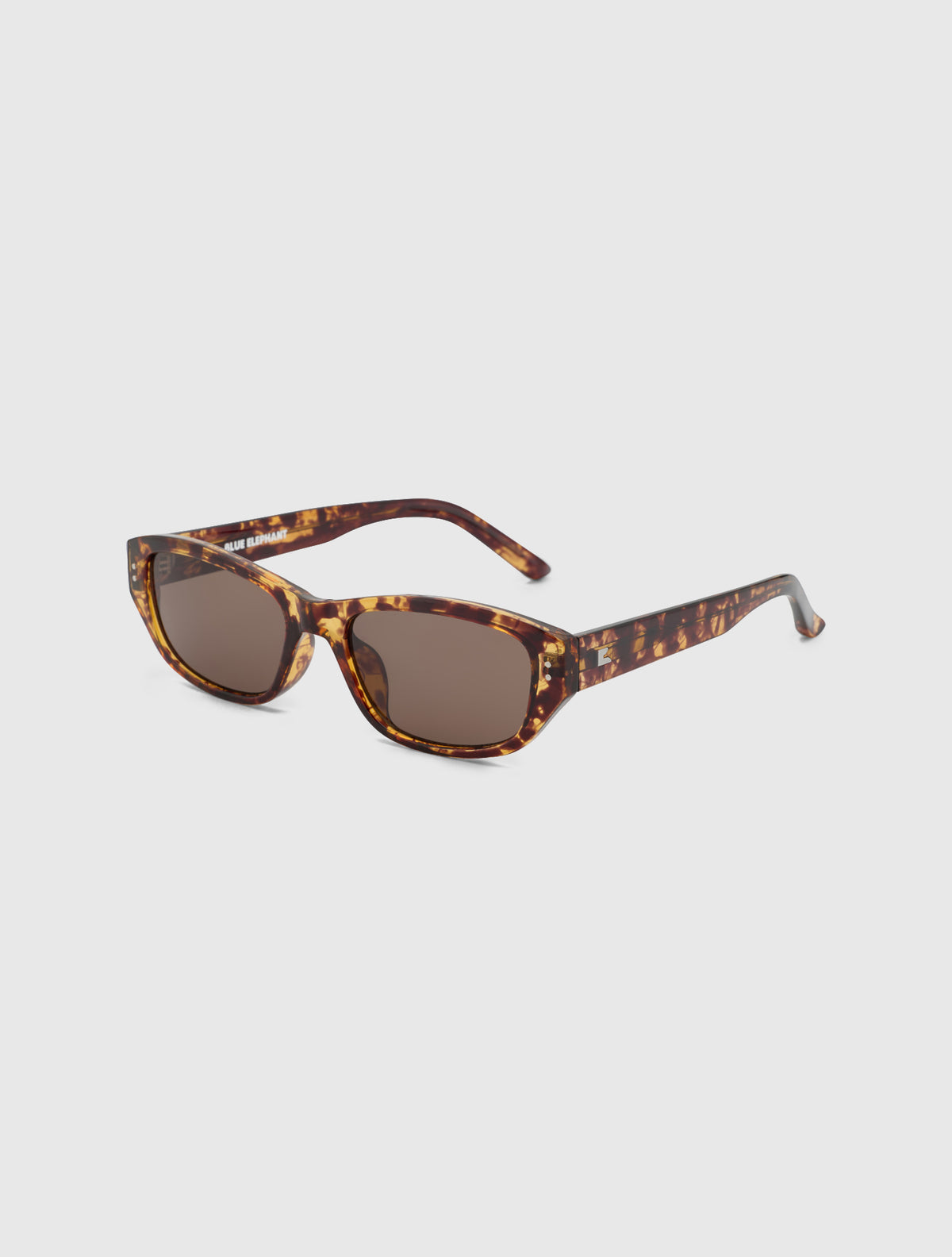 KIN-S leopard