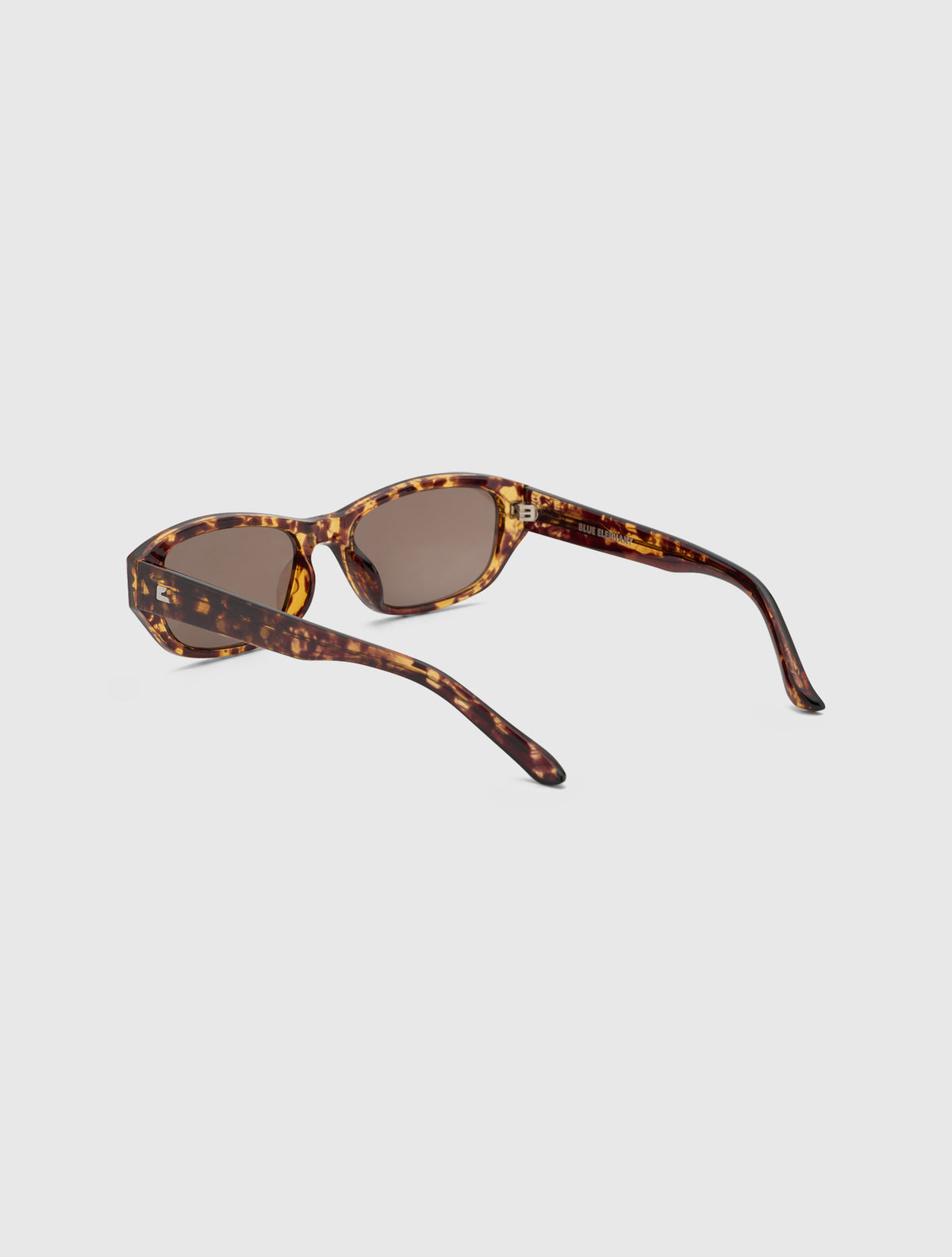 KIN-S leopard