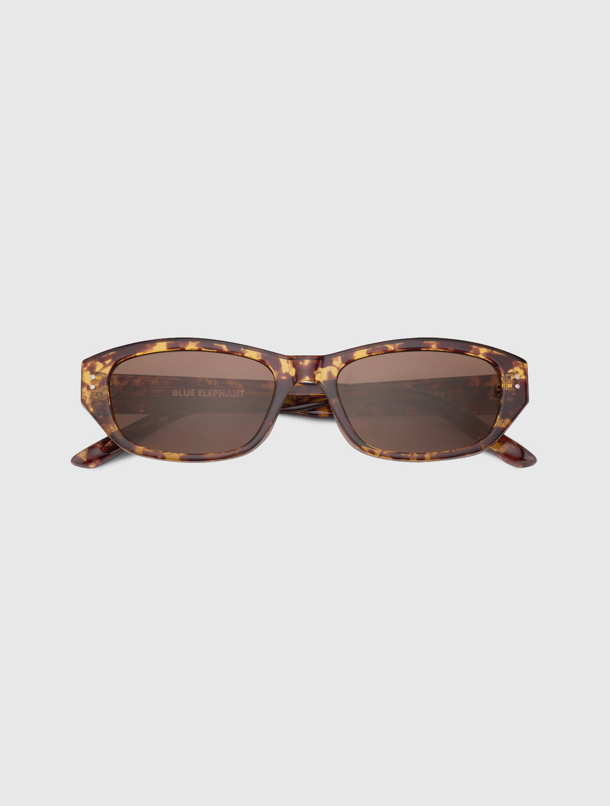 KIN-S leopard