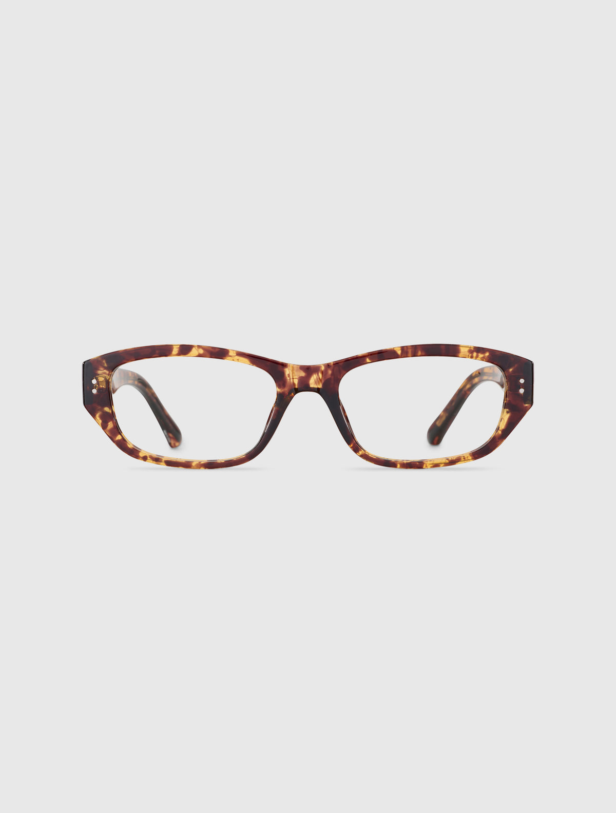KIN leopard