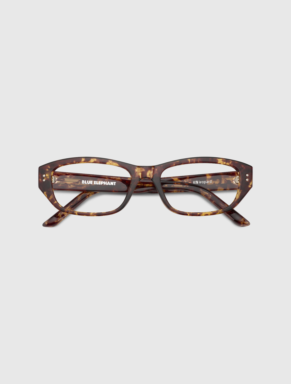 KIN leopard