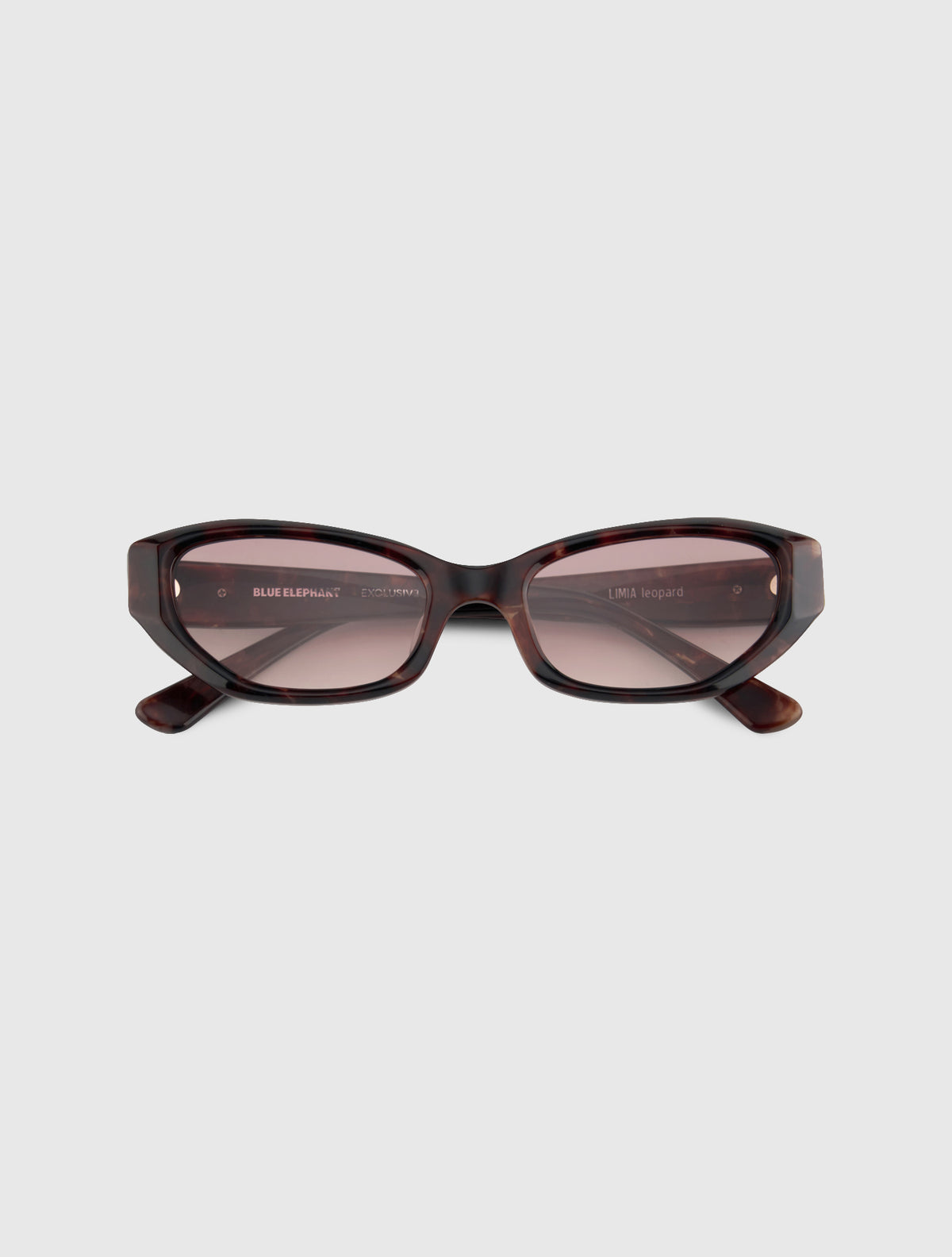 LIMIA leopard