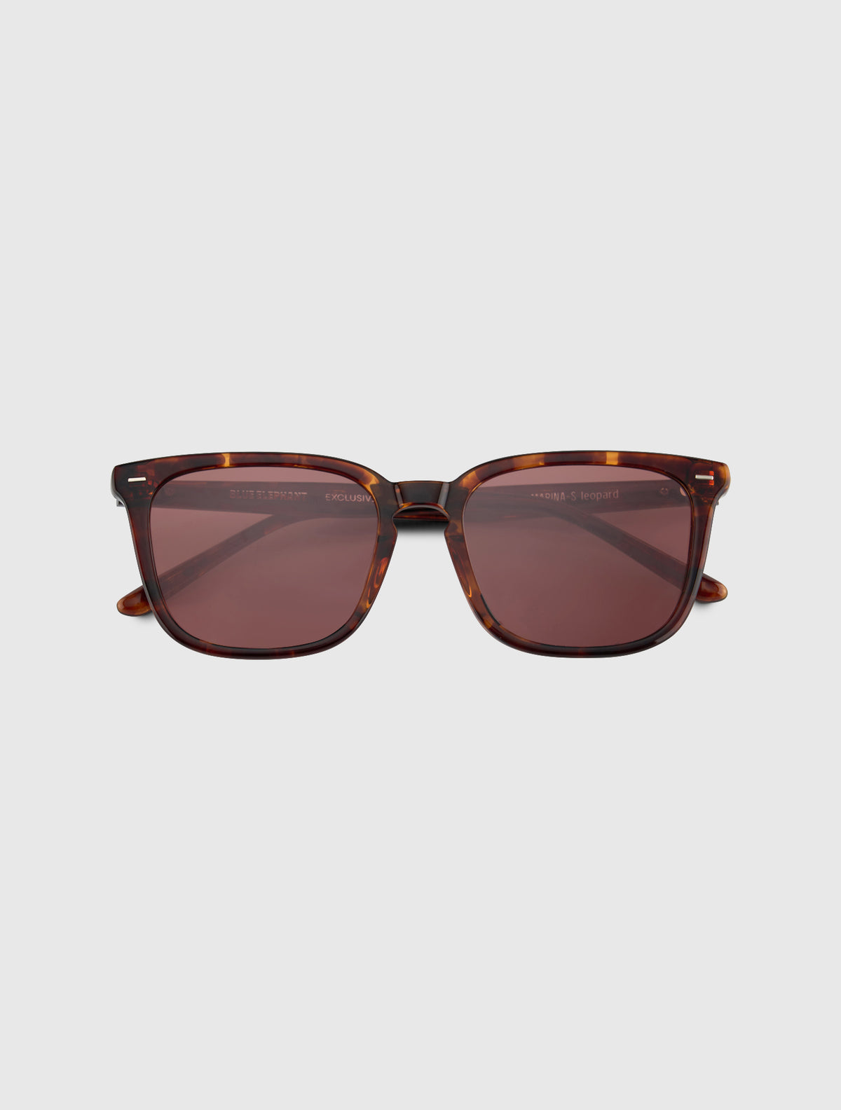 MARINA-S leopard