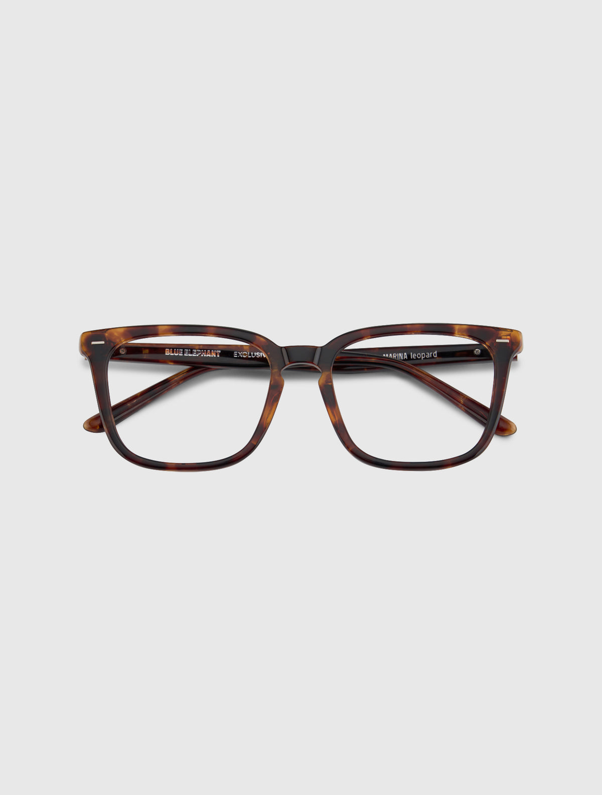 MARINA leopard