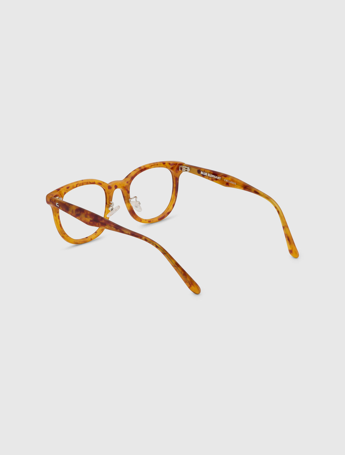 MINN pumpkin