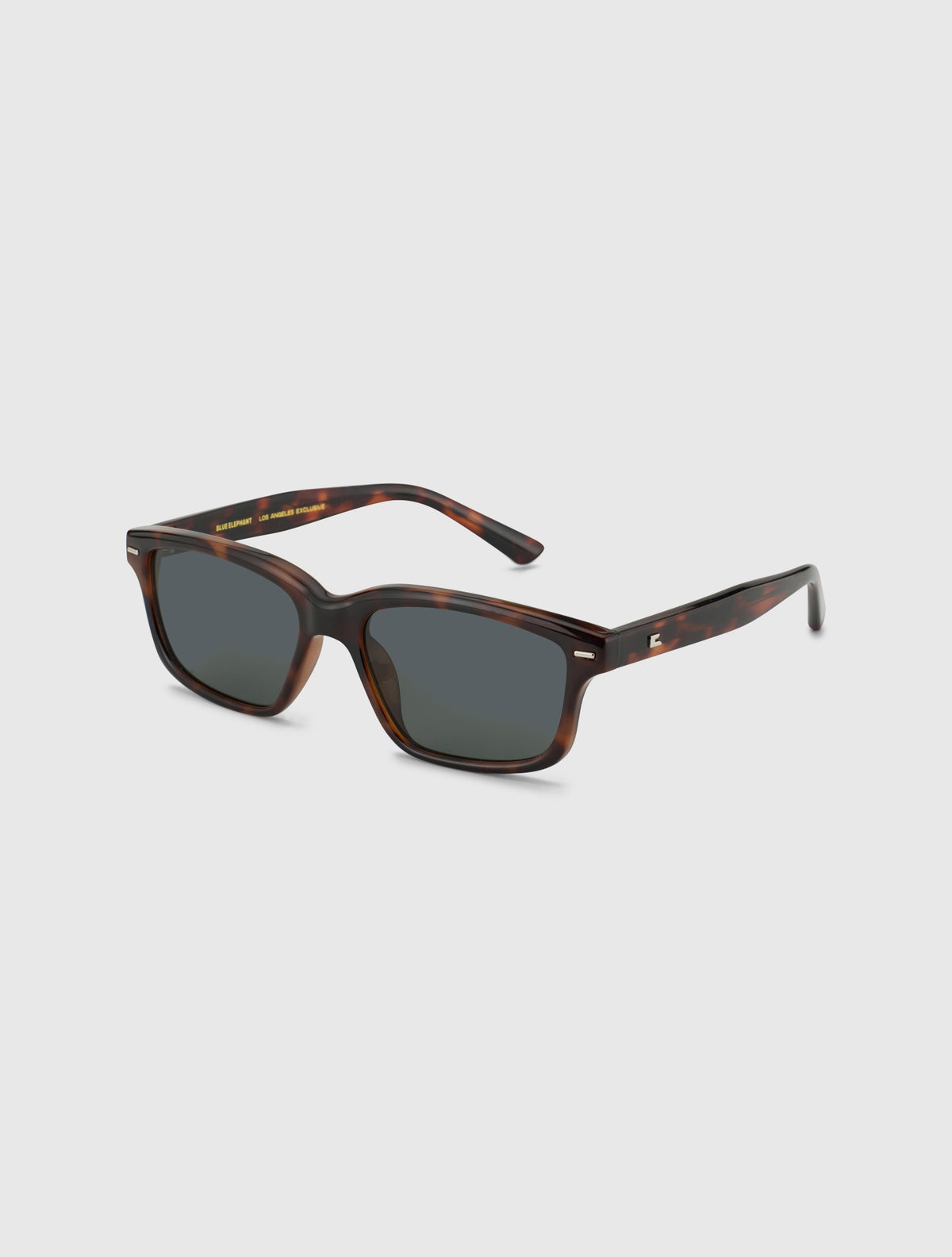 MODIQ leopard
