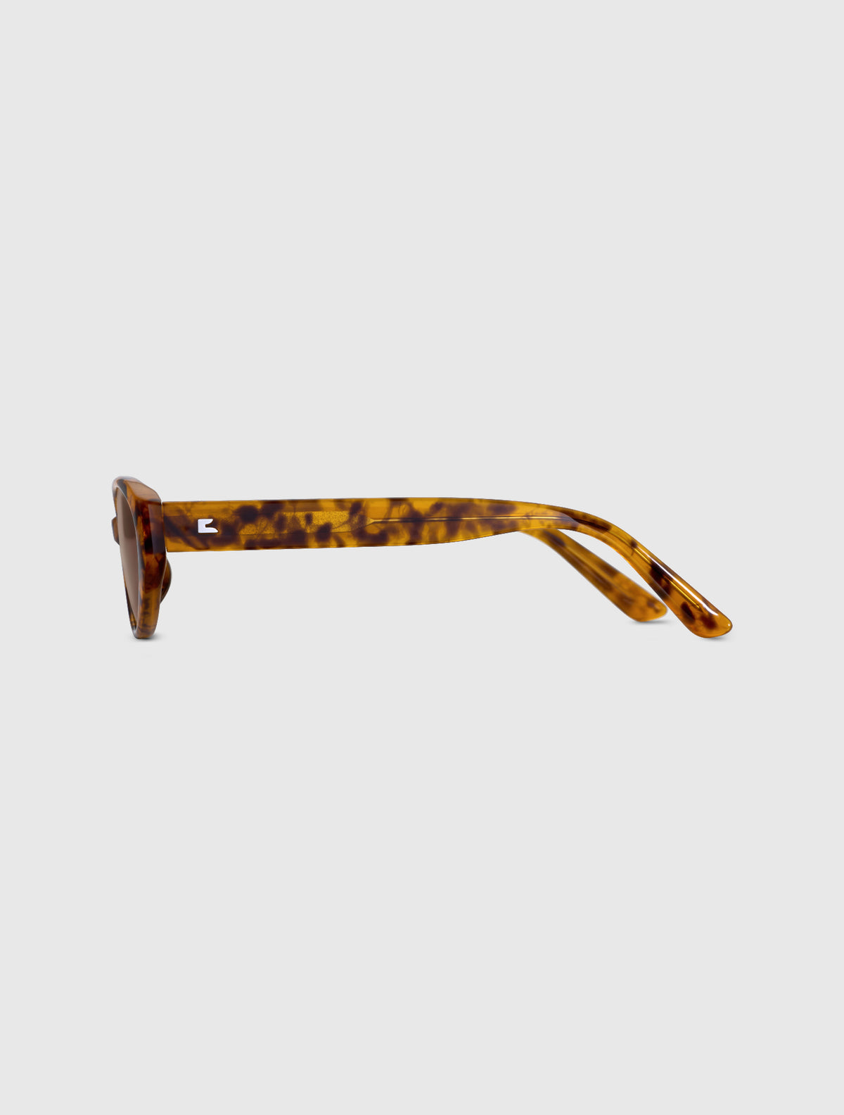 MUSE leopard
