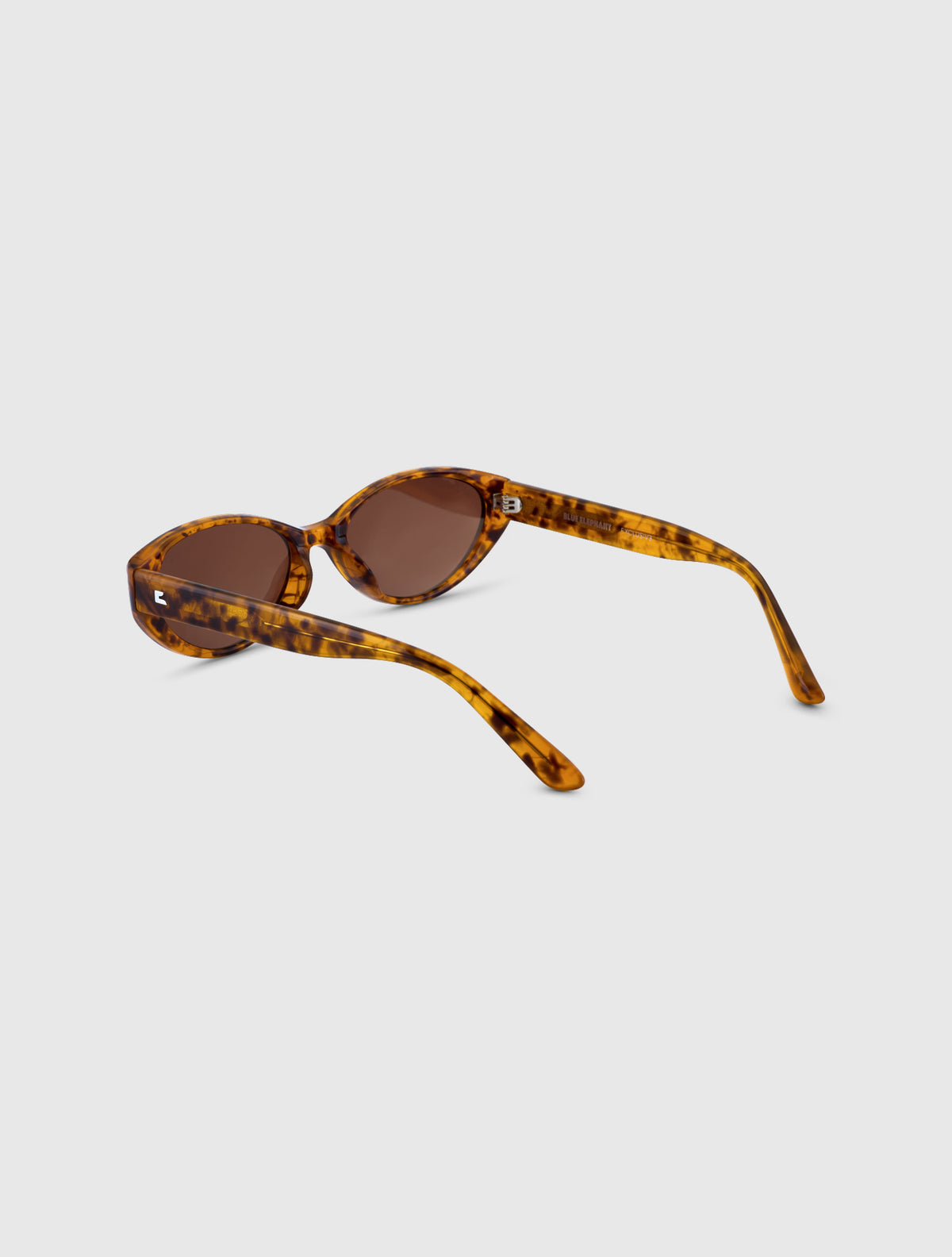 MUSE leopard