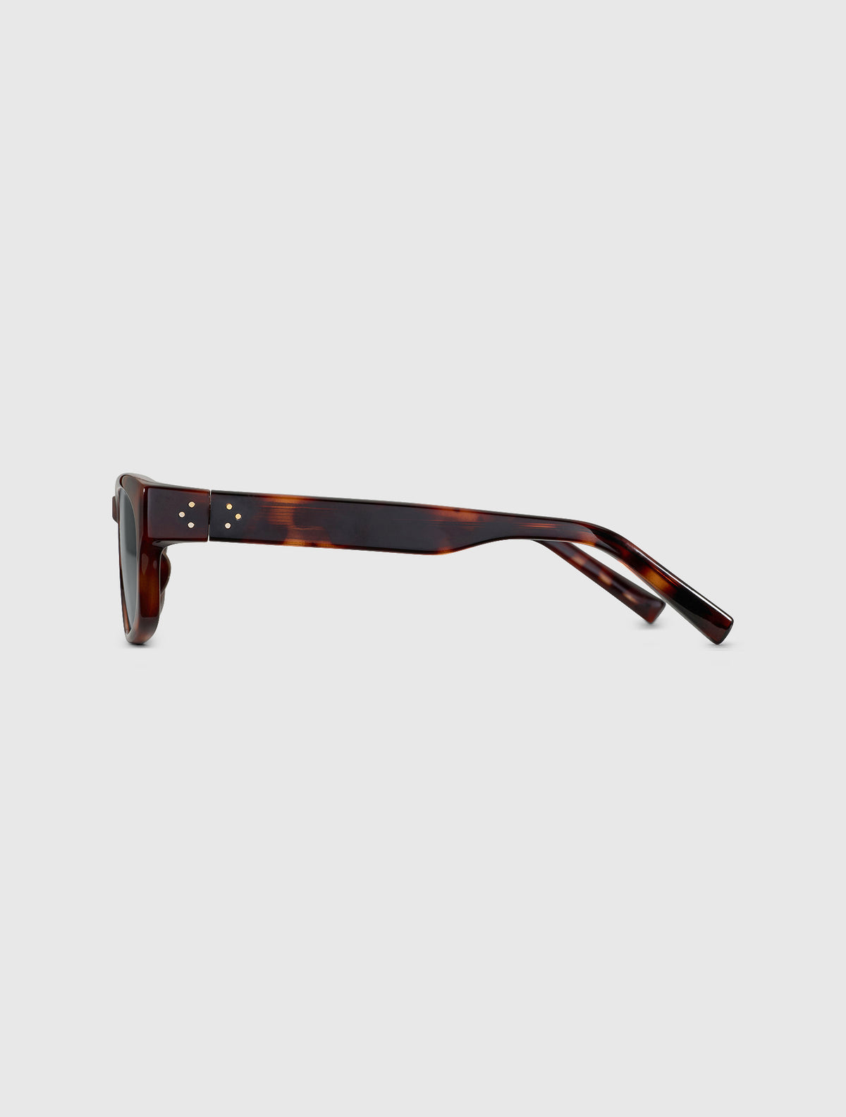 NINA leopard