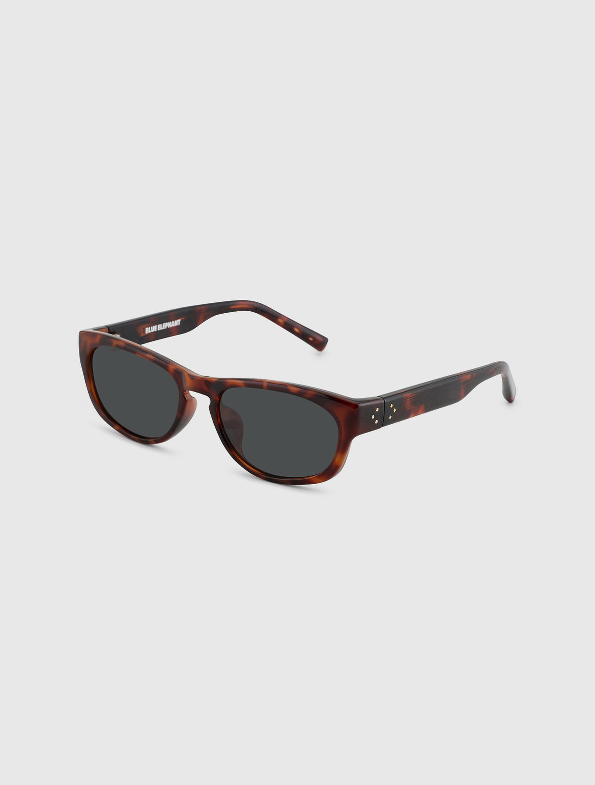 NINA leopard