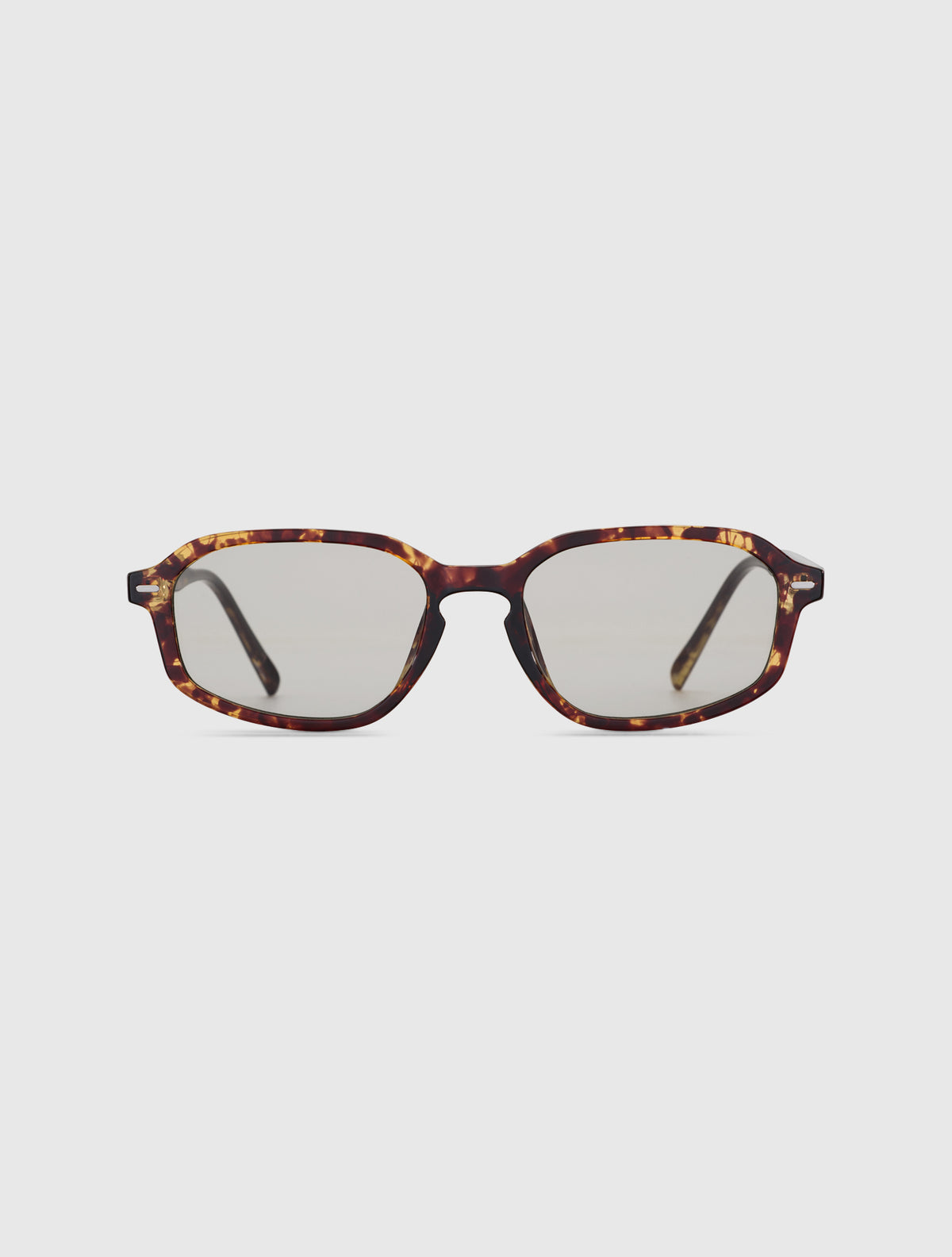NOLAN-S leopard