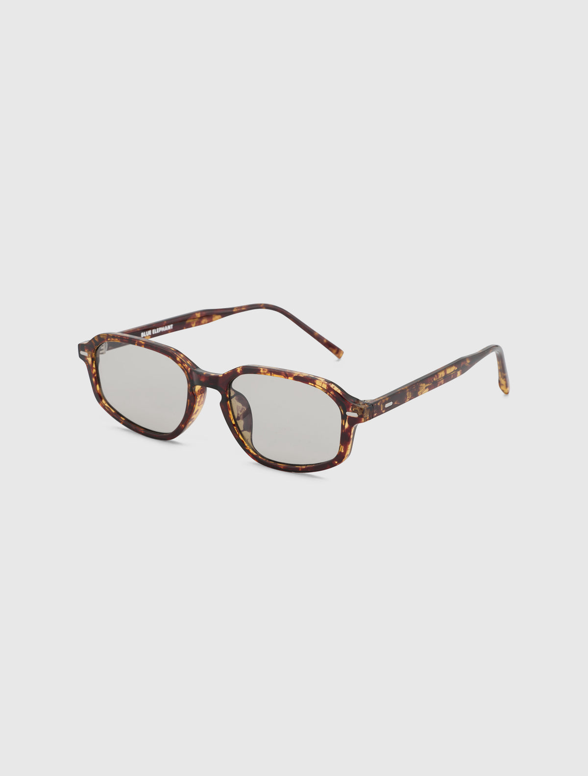 NOLAN-S leopard